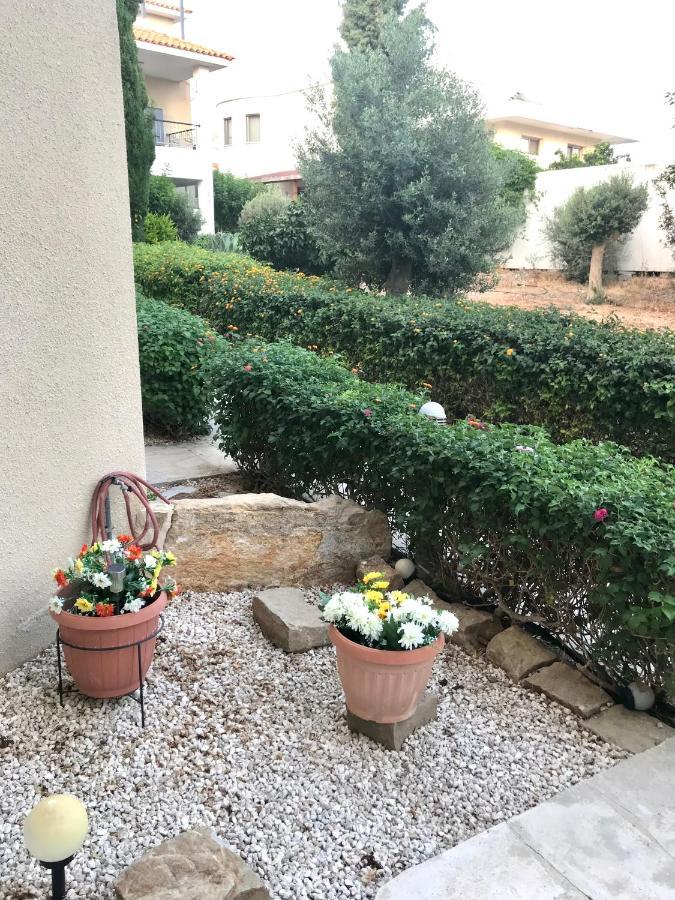 Owls Nest Townhouse Paphos Exterior foto